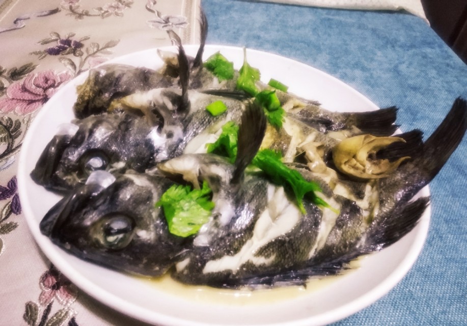 钓鱼爱好者最爱钓这鱼,用来做汤或清炖,味道特别鲜美
