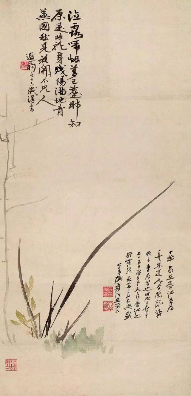 名家画兰,不一样的风情|兰花|兰竹|墨兰_新浪新闻