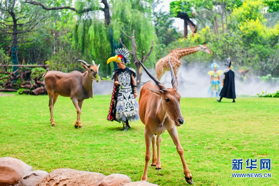 8月18日,银基动物王国在郑州新密市正式开园.