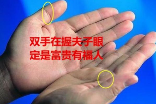 双手握有夫子眼者,百年难得一遇,有看看有没有你!