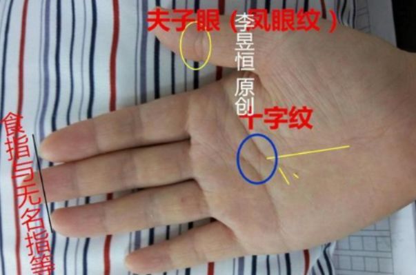 双手握有夫子眼者,百年难得一遇,有看看有没有你!