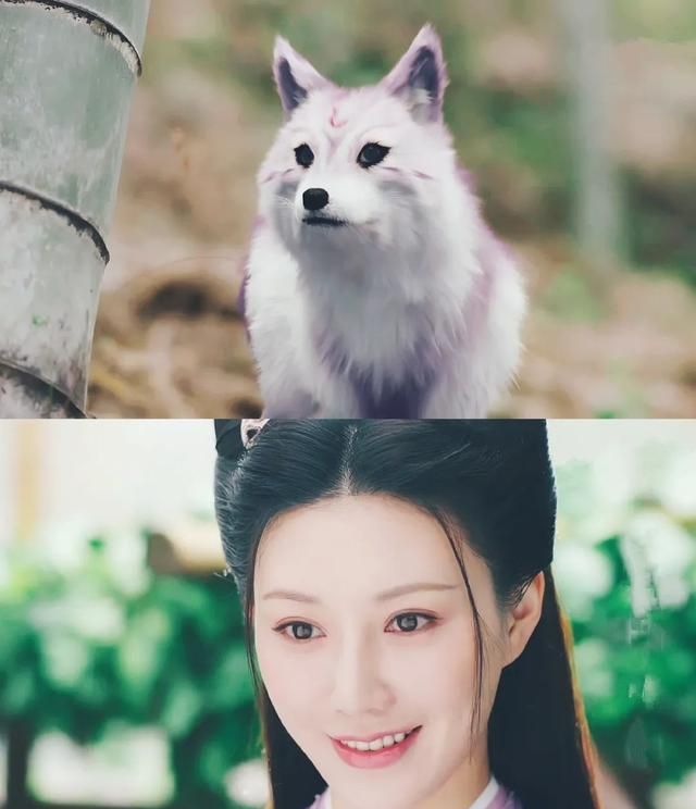 《琉璃》紫狐和无支祁的爱像极了至尊宝与紫霞,失去后才懂得珍惜