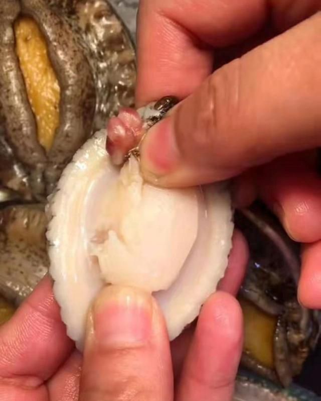 第二步:取出鲍鱼肉,取出内脏和牙齿,然后清洗干净第一步:清理昨晚由