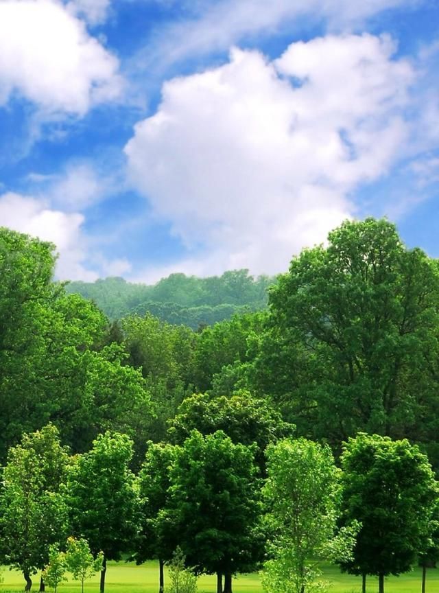 早上发的精美句子阳光明媚暖人心窝