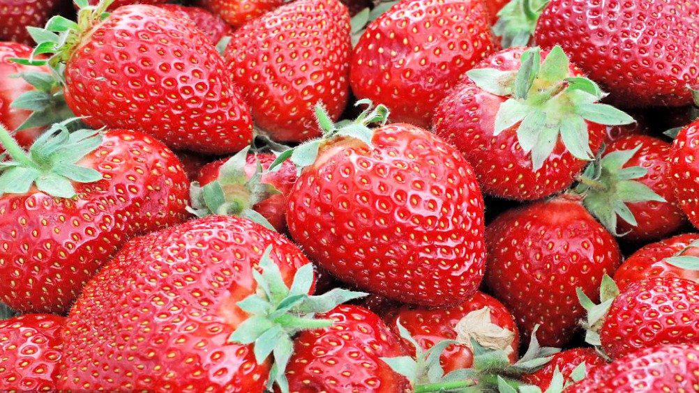 带货直播会泽新鲜夏季草莓想要吗