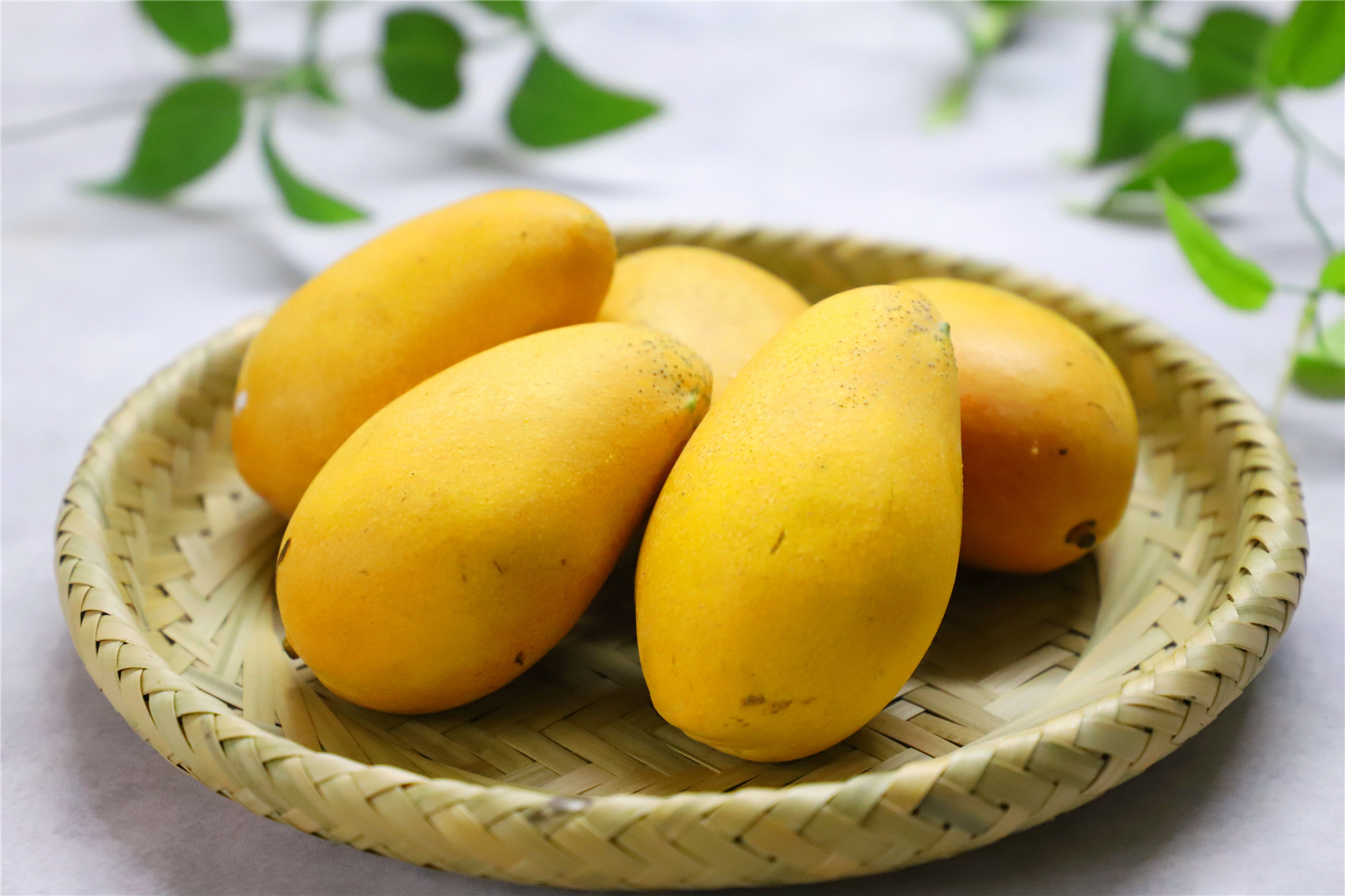 芒果挑选有窍门记住5点挑到的芒果个个新鲜肉多核小甜度高