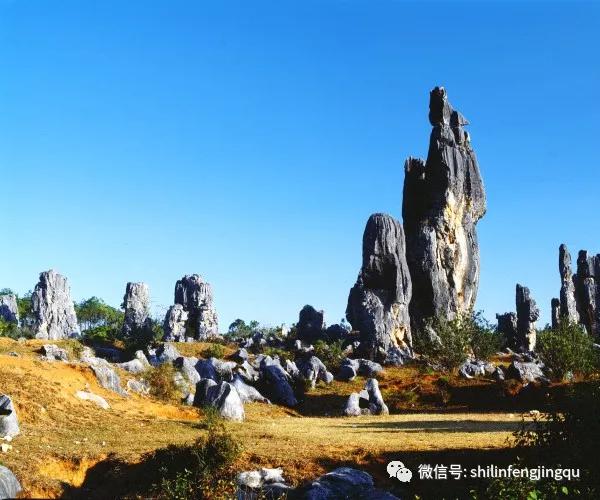 石林李子园箐2亿年的寂寞你懂吗