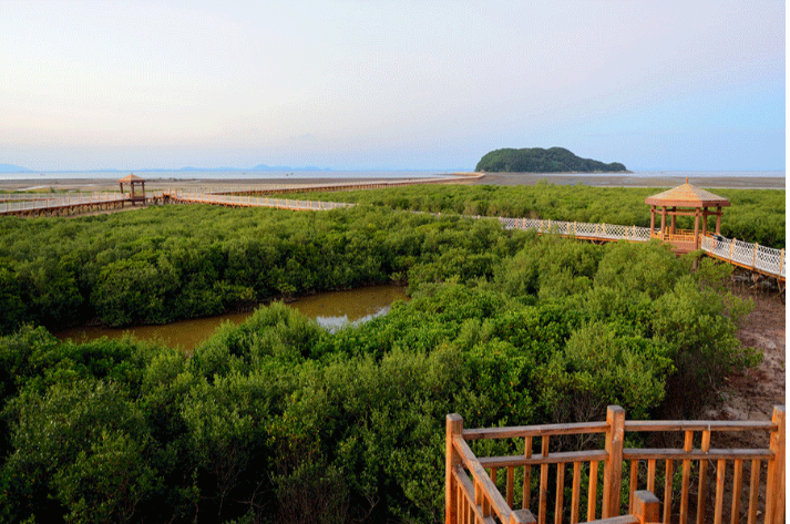 2020想去中国阳江旅游的景点南海放生台红树林南鹏列岛