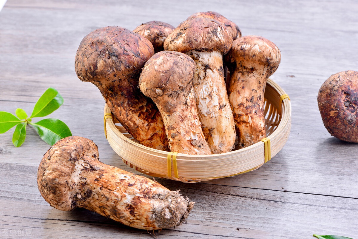 松茸别用水洗重要的事情只说一遍教你正确吃法不浪费好食材