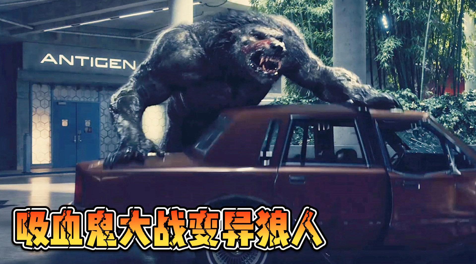 直接被狼人一巴掌拍飞~ 为您推荐: 这人类到底隐藏着什么秘密,吸血鬼