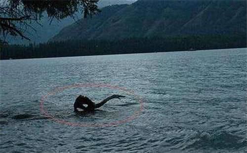 喀纳斯湖巨大水怪被人发现当地老人怒斥不要乱说那是湖圣