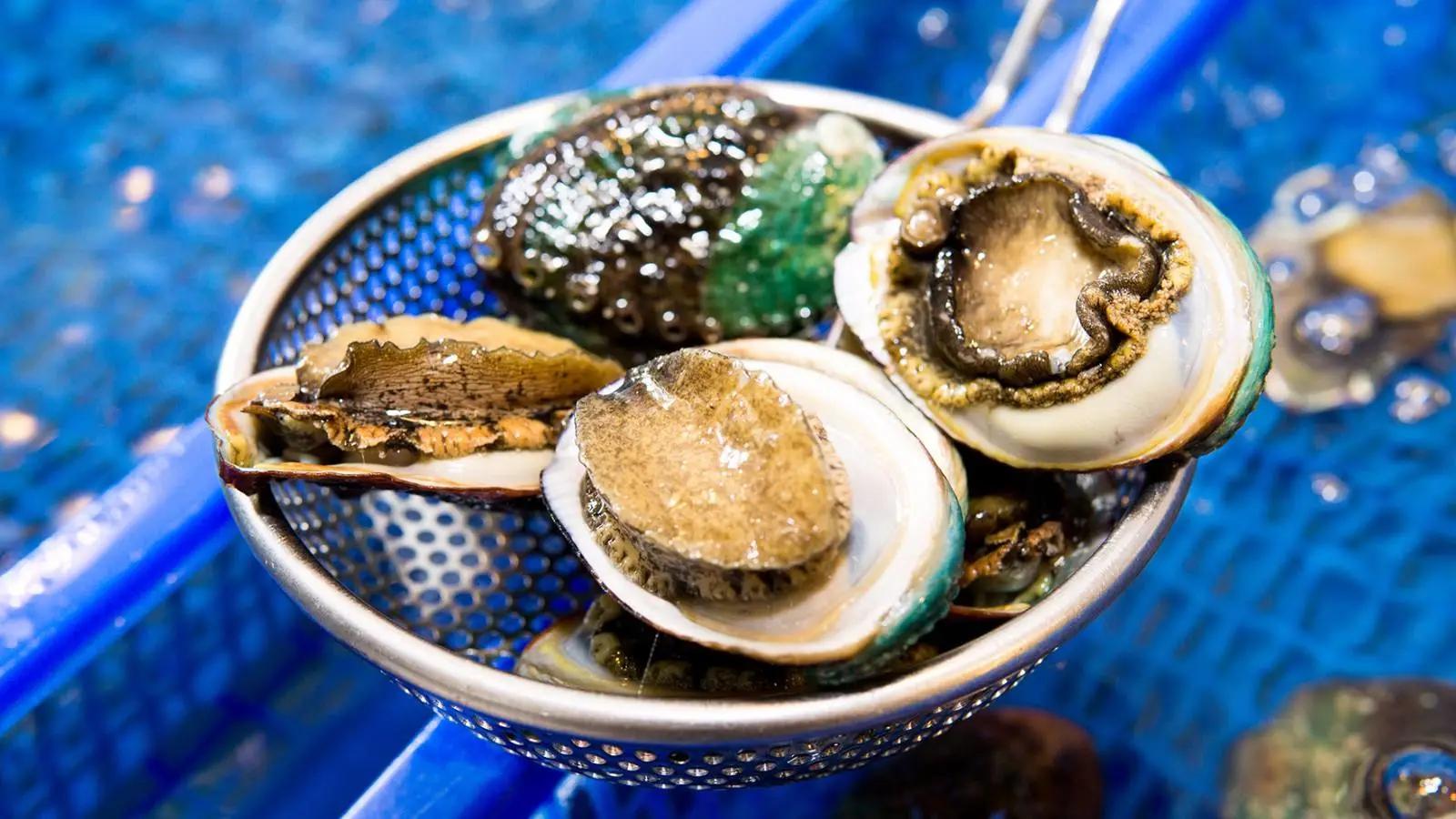 福建最低调的小岛:渔民靠这道海鲜发家致富