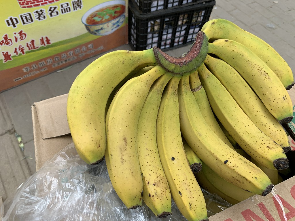 买香蕉时,挑直的还是弯的?老果农教你3招,以后别再买错了