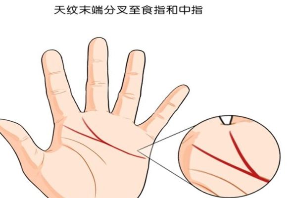 有这种手相特征的人,非常适合创业,天生当老板的命!