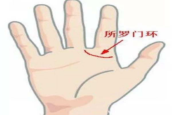 贵人运好不好看手相就能知道一生中一定贵人运非常棒