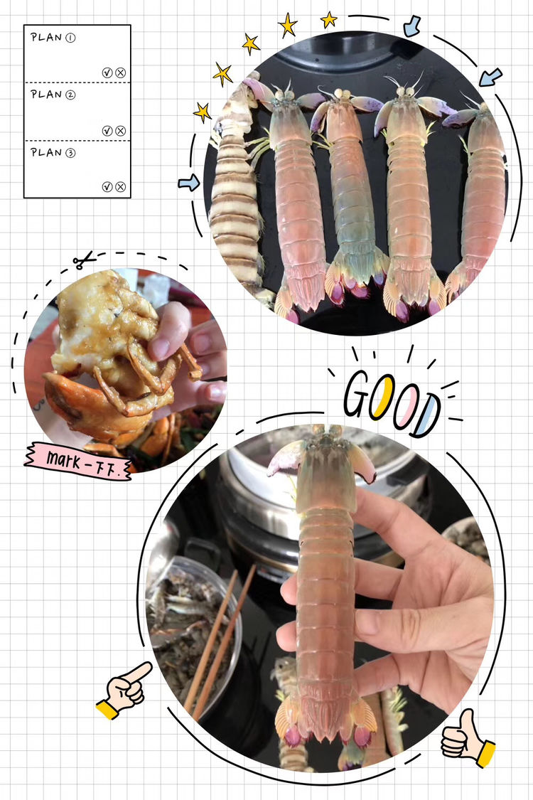 身穿彩色的衣裳,而不是以往经常见到的灰色.