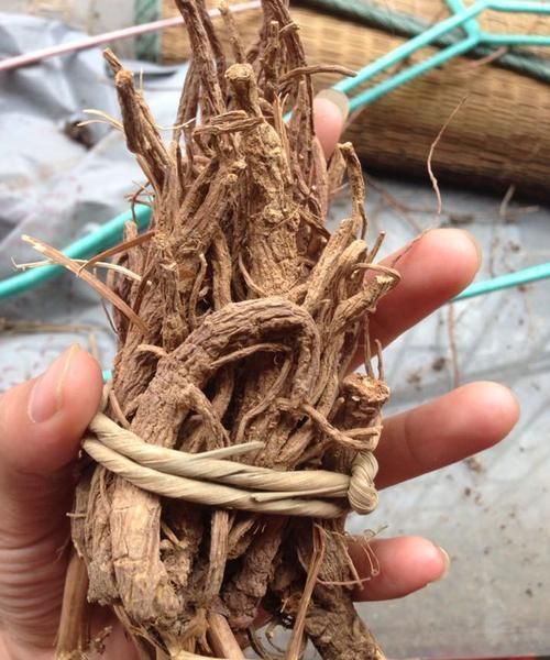 那么,你有见过隔山香吗?除了上文中说的功效,你还知道其他作用吗?