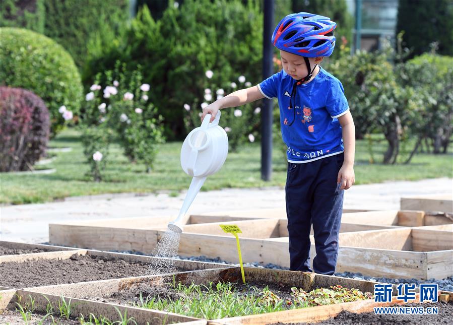 北京:体验蔬菜种植 乐享暑假|花卉大观园|蔬菜种植|小朋友_新浪新闻