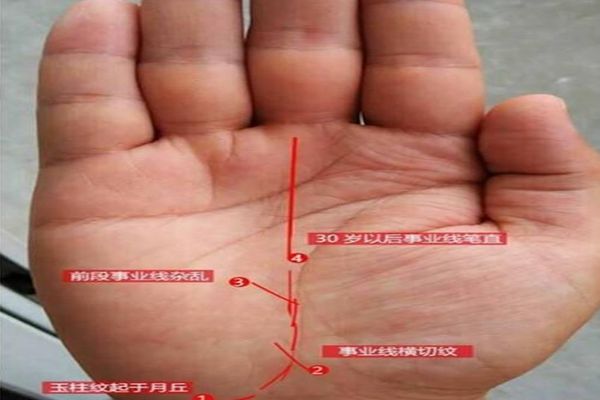 你的事业线源于月丘,表示你是一个早年没有家人与贵人的帮助而白手