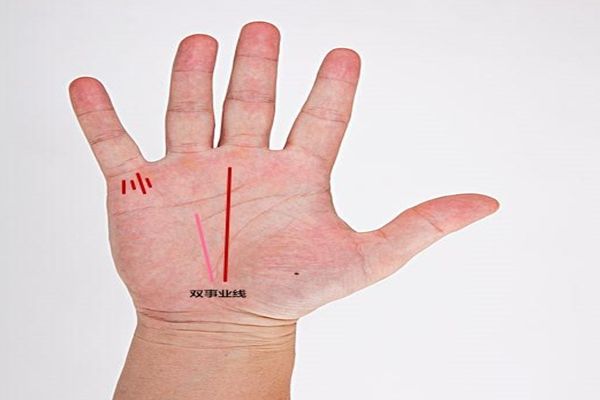 真正大老板的手相,注定腰缠万贯成为富有之人,一生无忧愁!