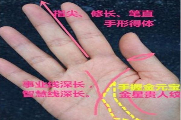 真正大老板的手相,注定腰缠万贯成为富有之人,一生无忧愁!