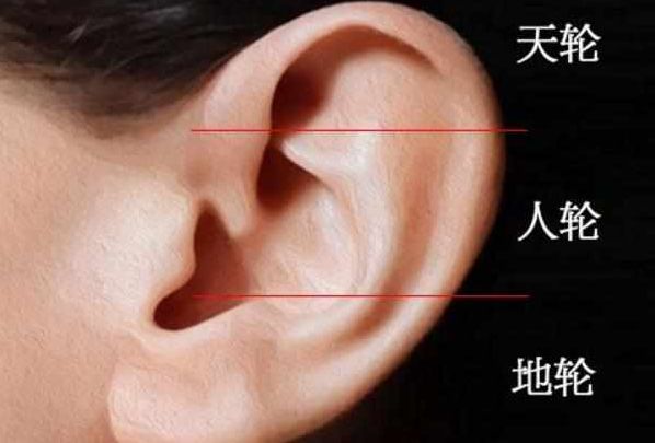 4种 耳相 穷不了 怎么样才算是1对招财耳 永远不愁没钱花 耳相 耳朵 面相学 新浪新闻 4种 耳相 穷不了 怎么样才算是1对招财耳 永远不愁没钱花 耳相 耳朵 面相学 新浪新闻