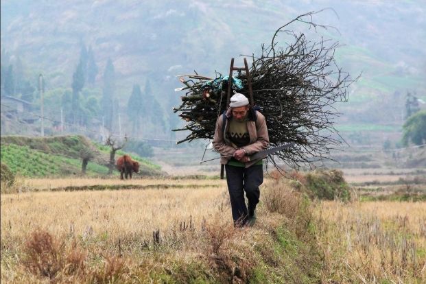 男子上山砍柴,意外捡到一块"石头",专家:发大财了|专家|红色|血迹