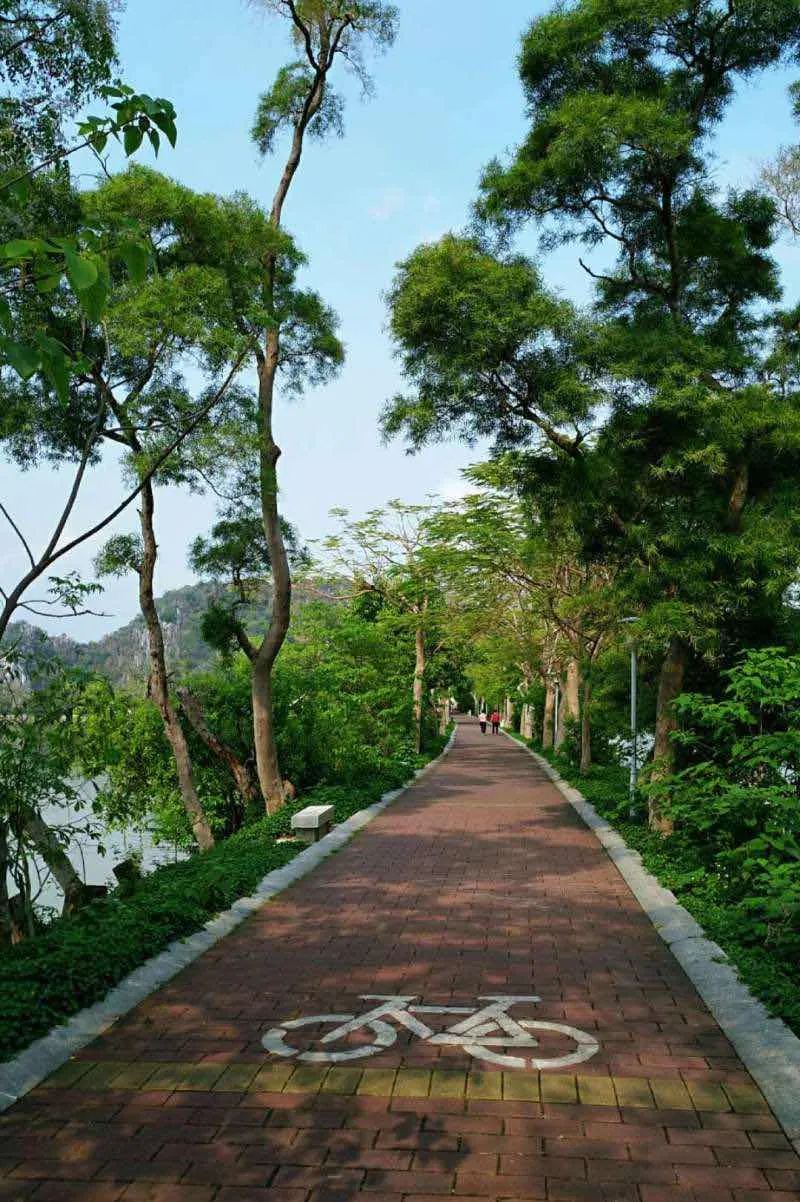 肇庆十大"网红打卡地"出炉!有你喜爱的那个地方吗?