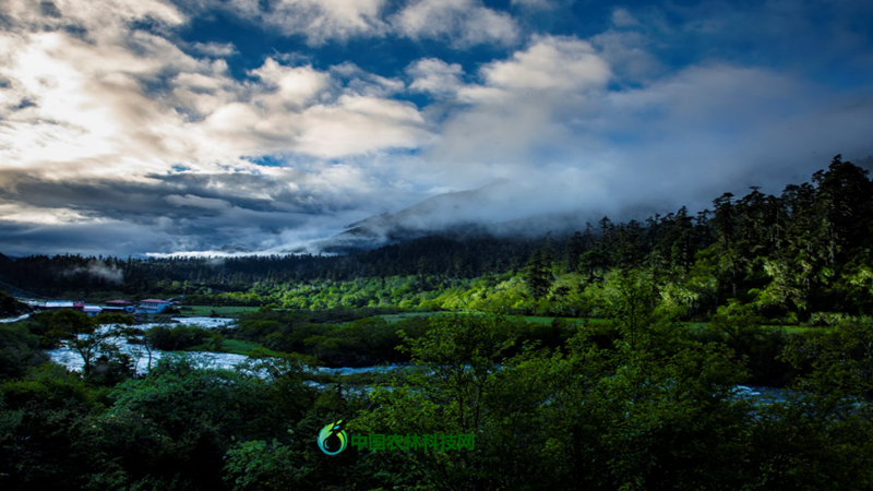 扎日景区位于隆子县东南部中印边境喜玛拉雅山脉的藏南峡谷中,平均