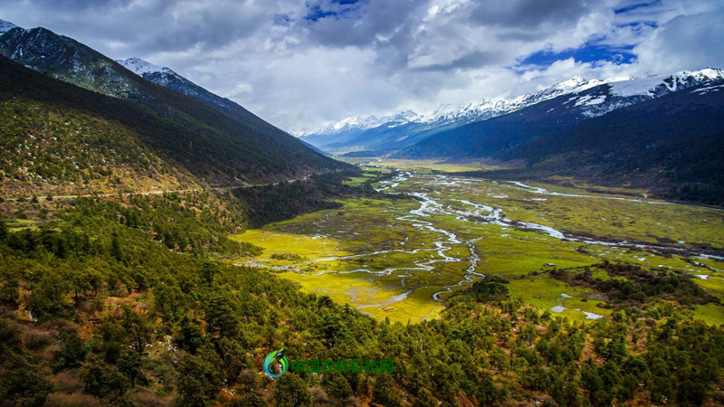 一县一品,西藏隆子县农特产品黑青稞|高原|青稞|隆子县_新浪新闻