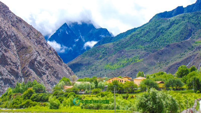 隆子县企业建站_(隆子县政府工作报告)