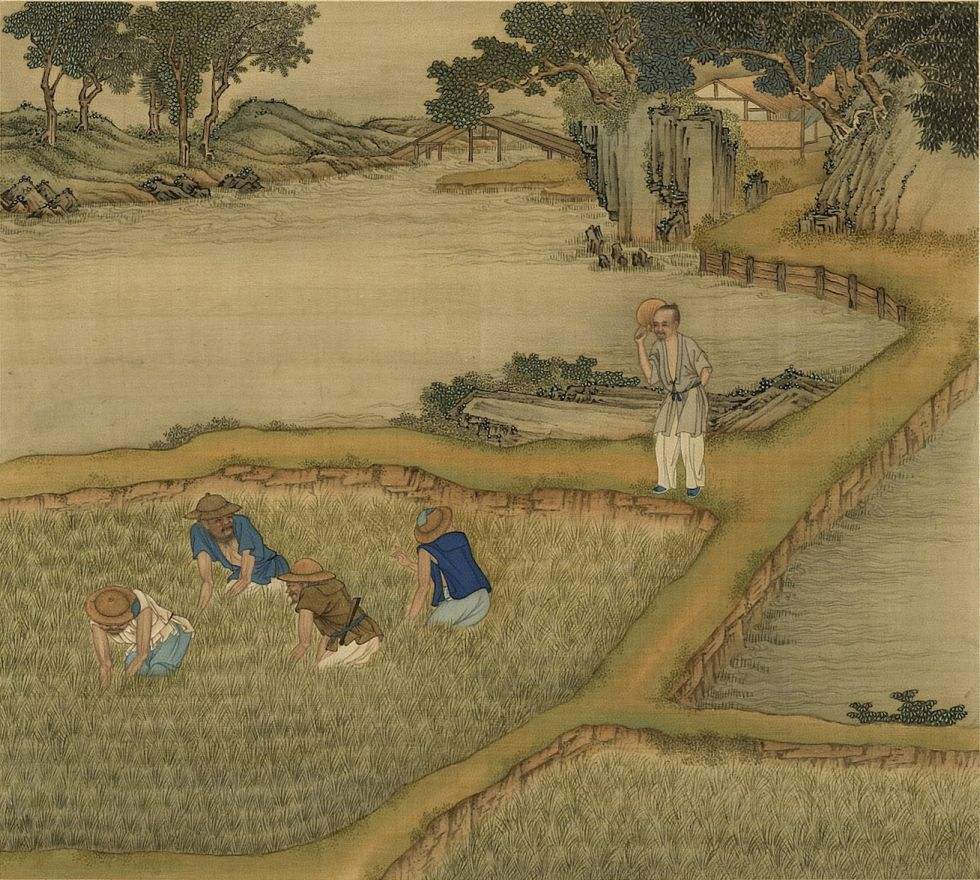 同为农业大国,为何印度能大量出口粮食,我国却仍需满世界买粮?