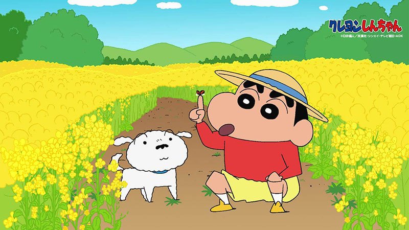 蜡笔小新:让小新羞羞的4个人,第一个单恋,第四个是未婚妻|蜡笔小新