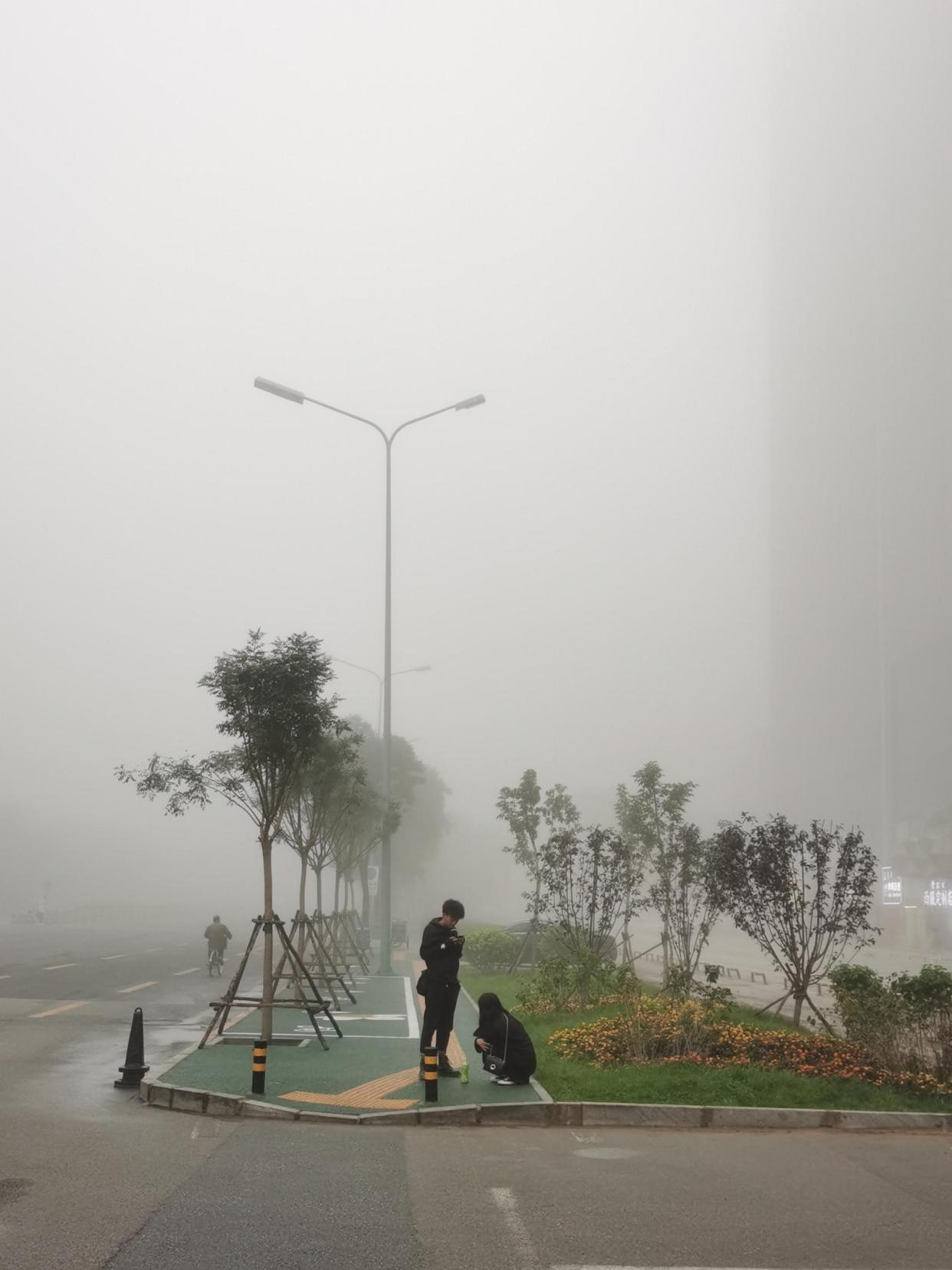 慢慢靠近用眼睛看不见的距离静观雾蒙蒙的天空有时候会停下来只听见