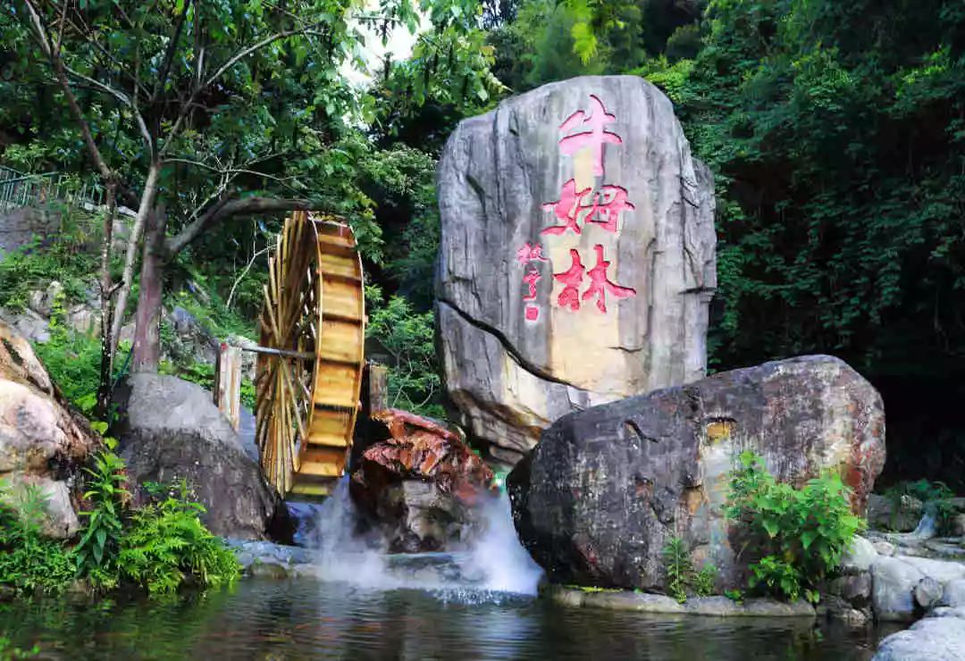 福建"最美"的公园,园内景观比肩桂林,被誉闽南"西双版纳"|牛姆林|公园