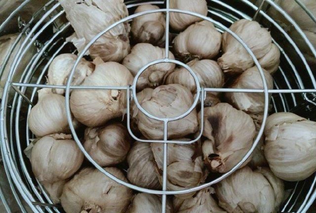 福原爱曝光送老公的七夕礼物,一坛黑蒜头,江宏杰知道会啥反应?