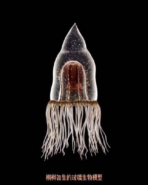 笔触流畅,色彩超美的油画风景作品 艺术家尤舍维奇·维克多