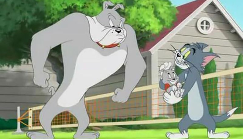 《猫和老鼠》这88年中,汤姆只怕过5个人,杰瑞只是五五开|杰瑞|猫和