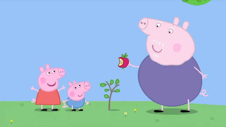 小猪佩奇:猪爷爷带着佩奇种地,还给佩奇吃苹果,真是太有趣了