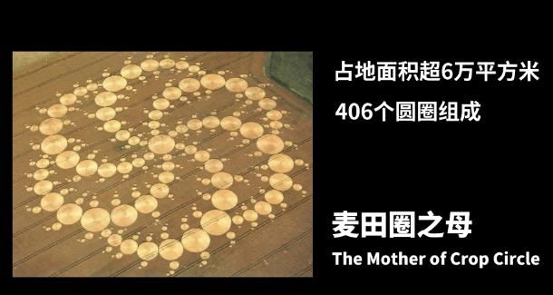 科学家尝试用麦田怪圈破译外星人的信息他们在示好还是警告