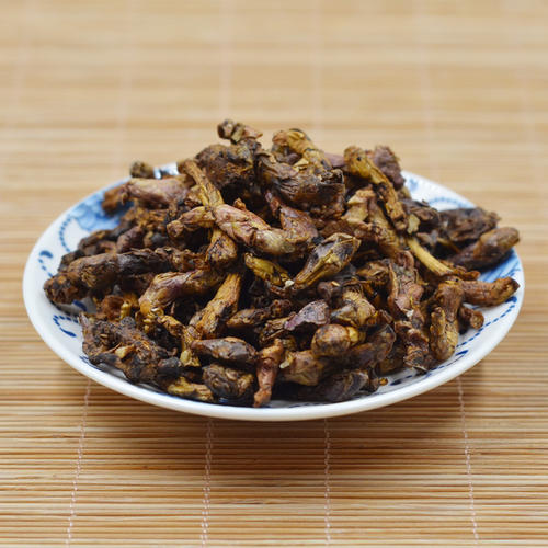 款冬花,常用于各类咳嗽,尤其是伤风感冒后咳嗽老不好