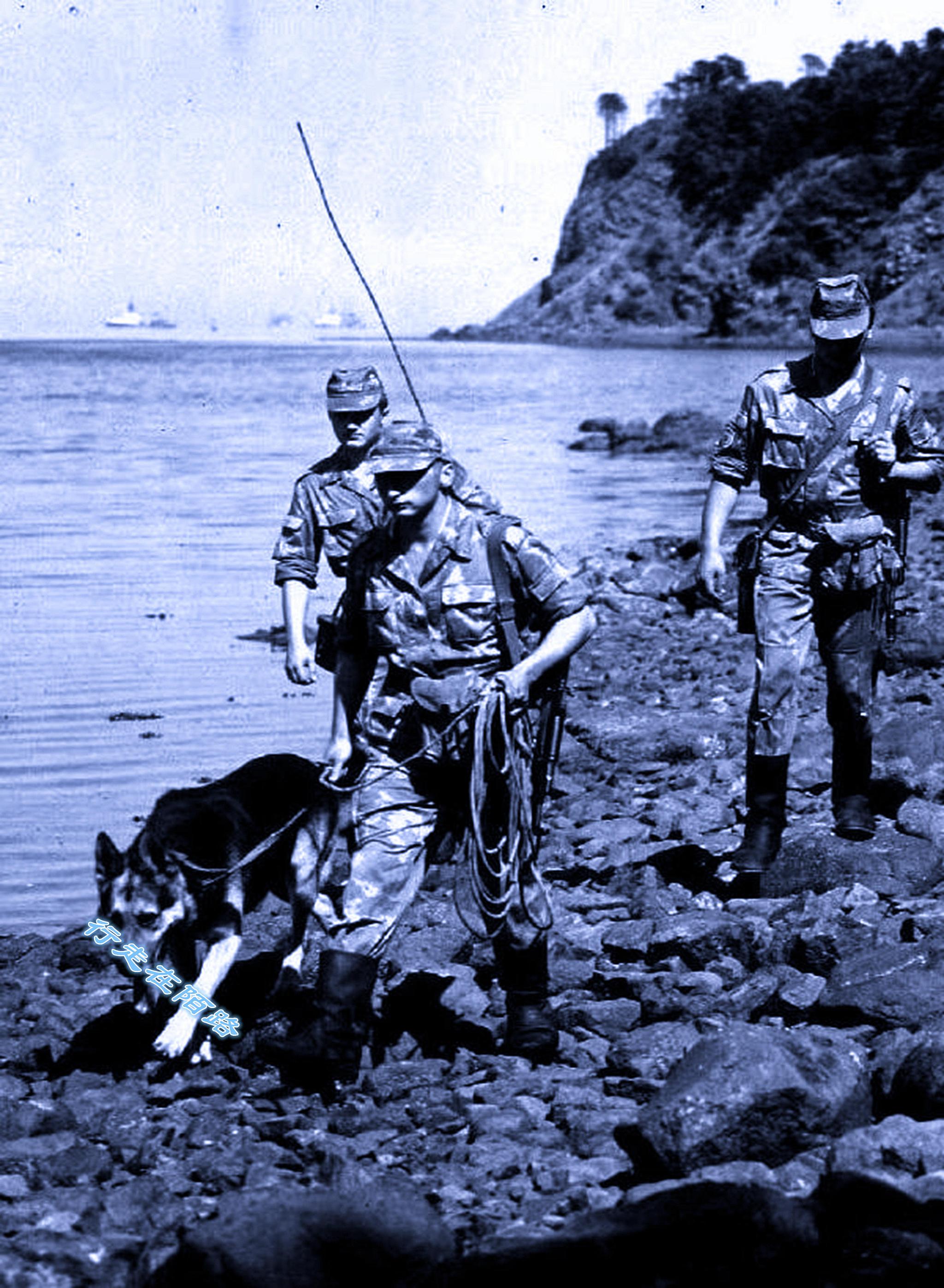 择捉岛20座火山有8座是活的岛上鱼子酱任吃温泉免费