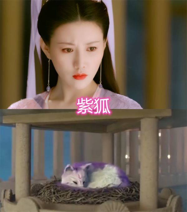 古装剧里面角色的真身,司凤的漂亮,紫狐的不错.