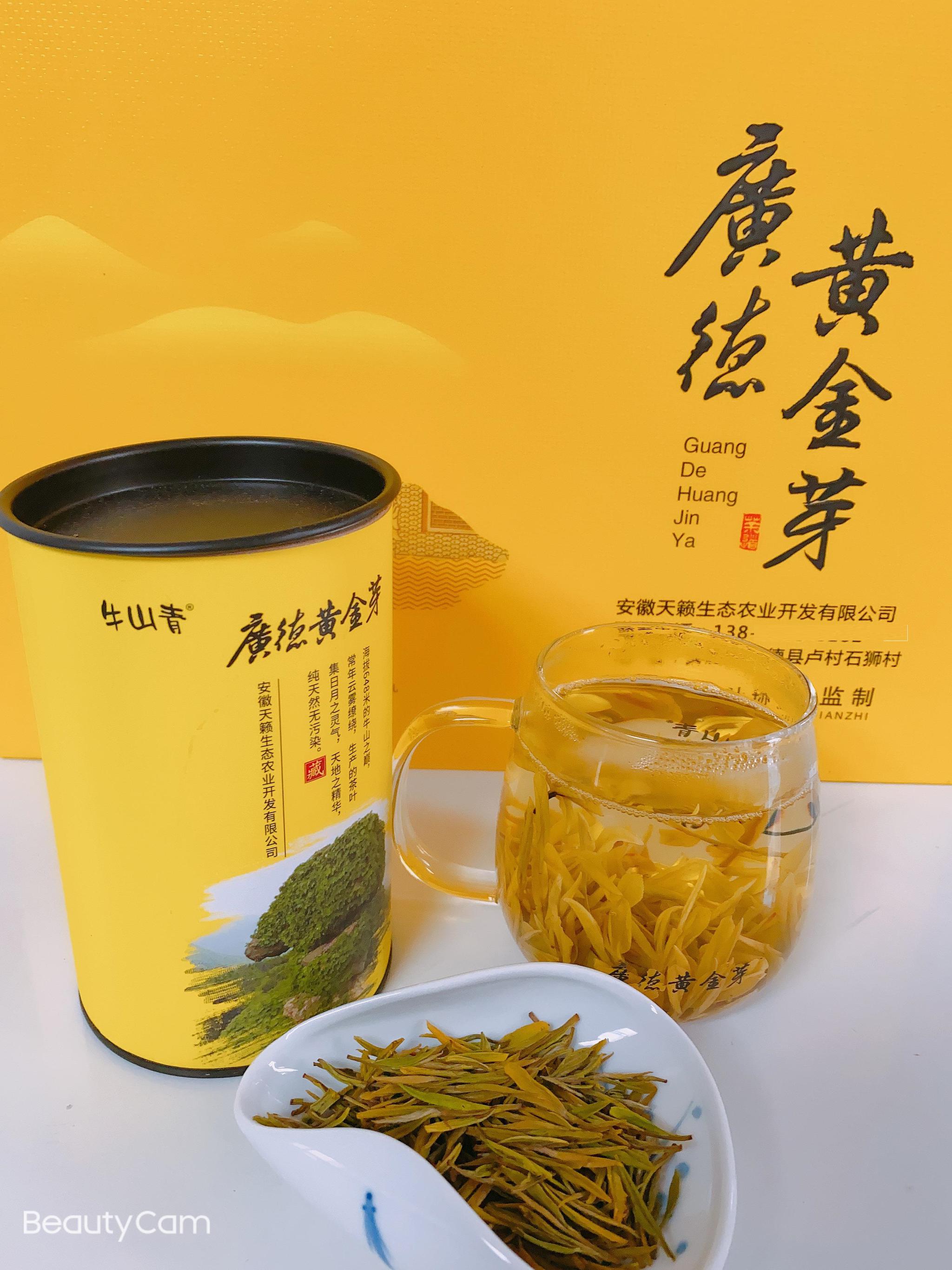 广德黄金芽在2020世界绿茶评比会上获得最高金奖|广德