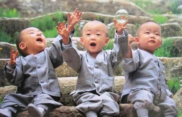 佛缘专栏:老师父的话『最深情的冷面』