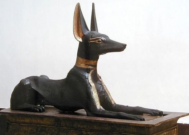 他们打开埃及法老墓几年之内多人死亡这背后藏有什么秘密