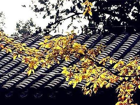黄叶归尘声瑟瑟，白云浮水影悠悠；七首秋日诗，谁似归鸿不胜愁|七律·秋雨|黄叶|水韵_新浪新闻