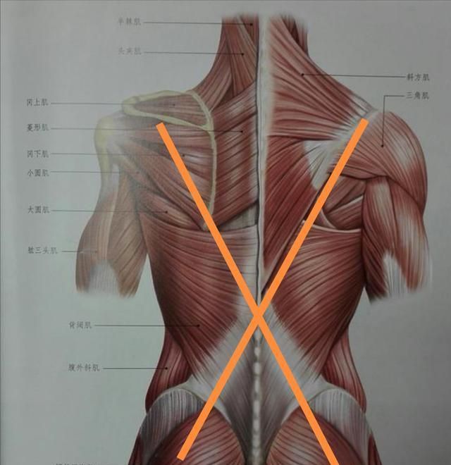 练瑜伽腰疼 背部盲区 胸腰筋膜 一个动作 松解它试试 盲区 瑜伽 背部 新浪新闻