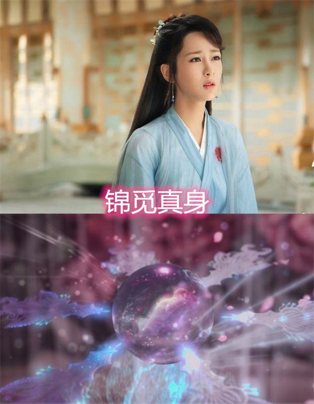 赵灵儿的真身,锦觅的真身,白素贞的真身,看到禁婆:过于科学