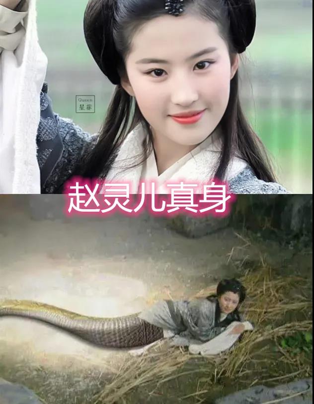 赵灵儿的真身,锦觅的真身,白素贞的真身,看到禁婆:过于科学